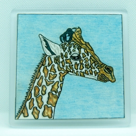 Baby Giraffe Coaster Original Coloured Pencil by Alison Perkins 9 x 9cm
