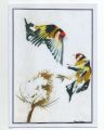 Goldfinches Blank Greetings Card from Alison Perkins Art - 7 x 5
