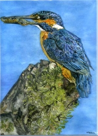 Common Kingfisher and Fish