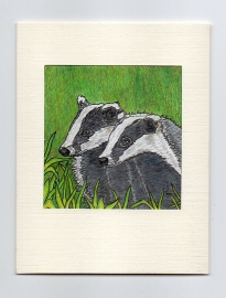 Badgers Original Artwork Pen & Pencil Blank Greetings Card  - 4.5 x 3.5 Inch