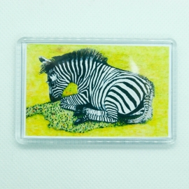 Zebra Print from Original Fridge Magnet from Alison Perkins (70 x 45mm)